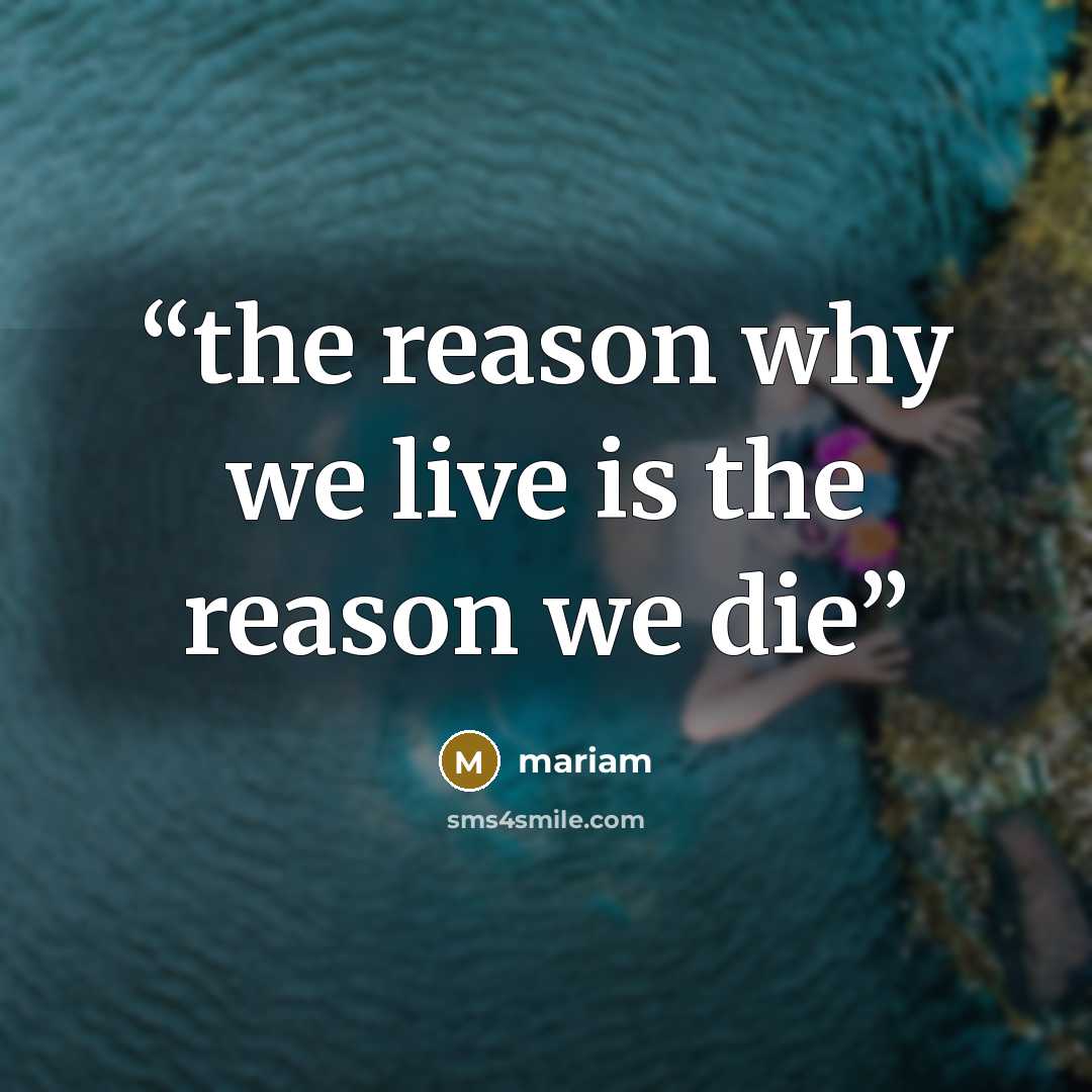 “the reason why we live is the reason we die” quote by Mariam