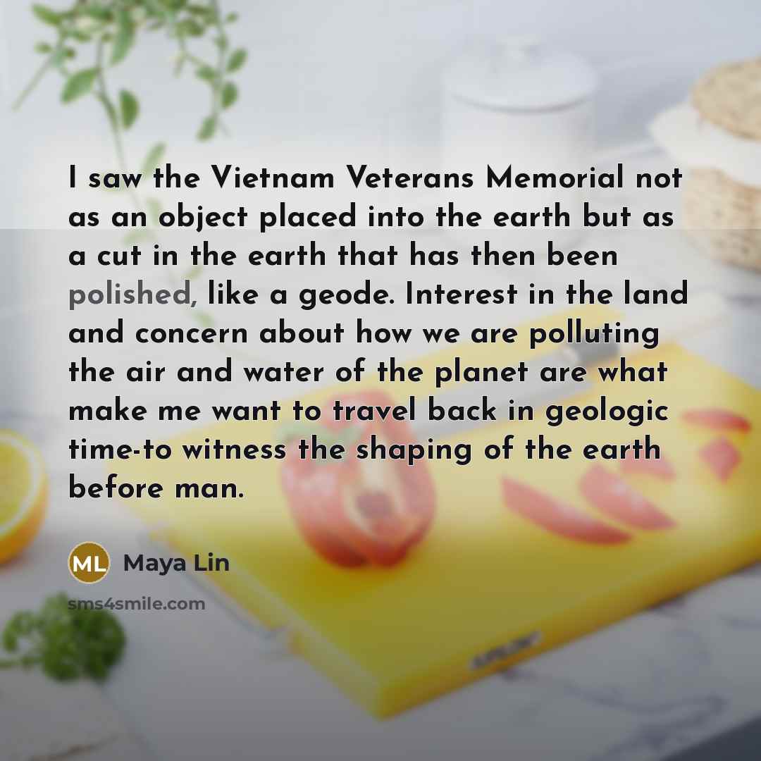“I saw the Vietnam Veterans Memorial not as an object…” quote by Maya Lin