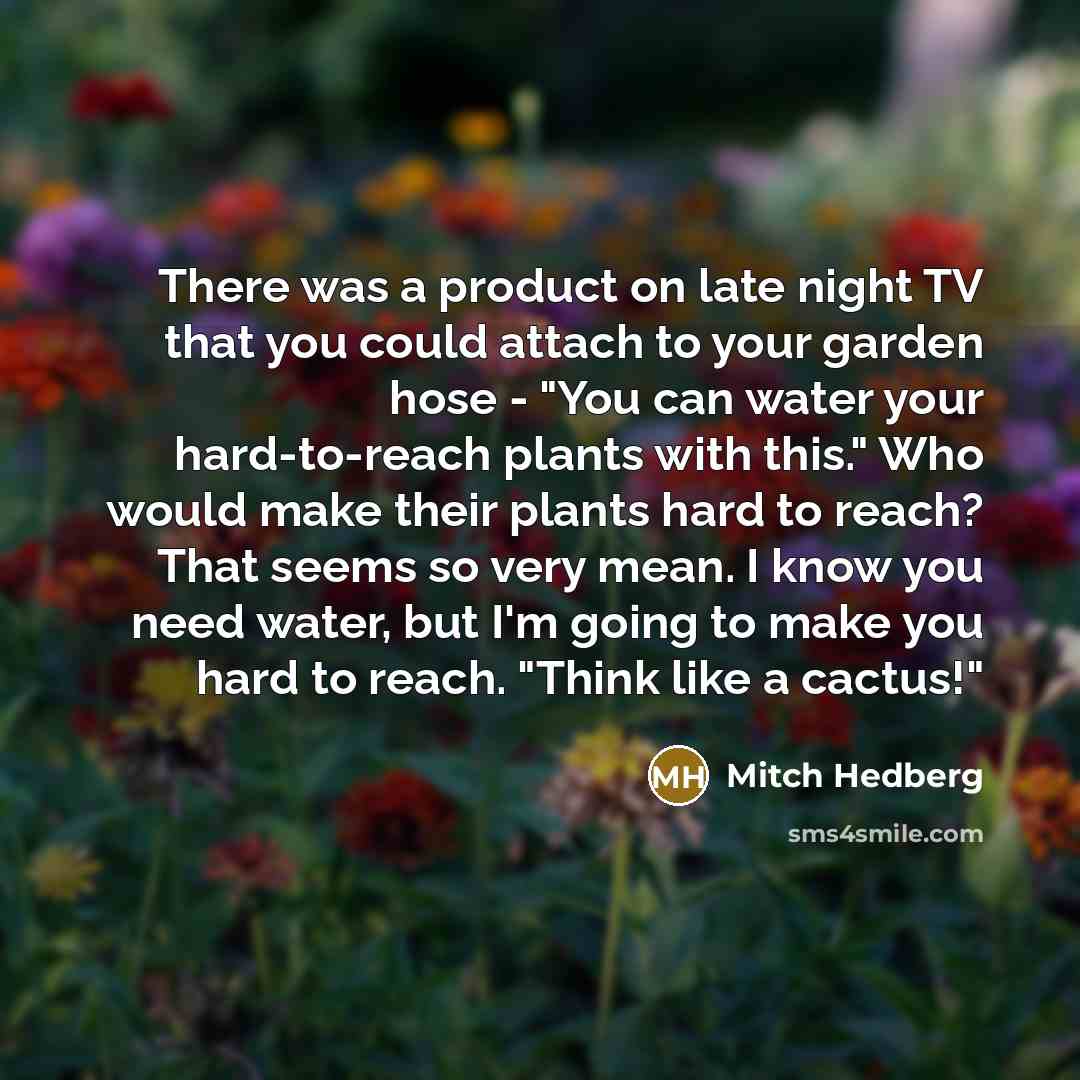 “There was a product on late night TV that you…” quote by Mitch Hedberg