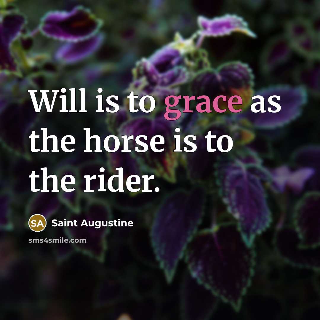 “Will is to grace as the horse is to the…” quote by Saint Augustine