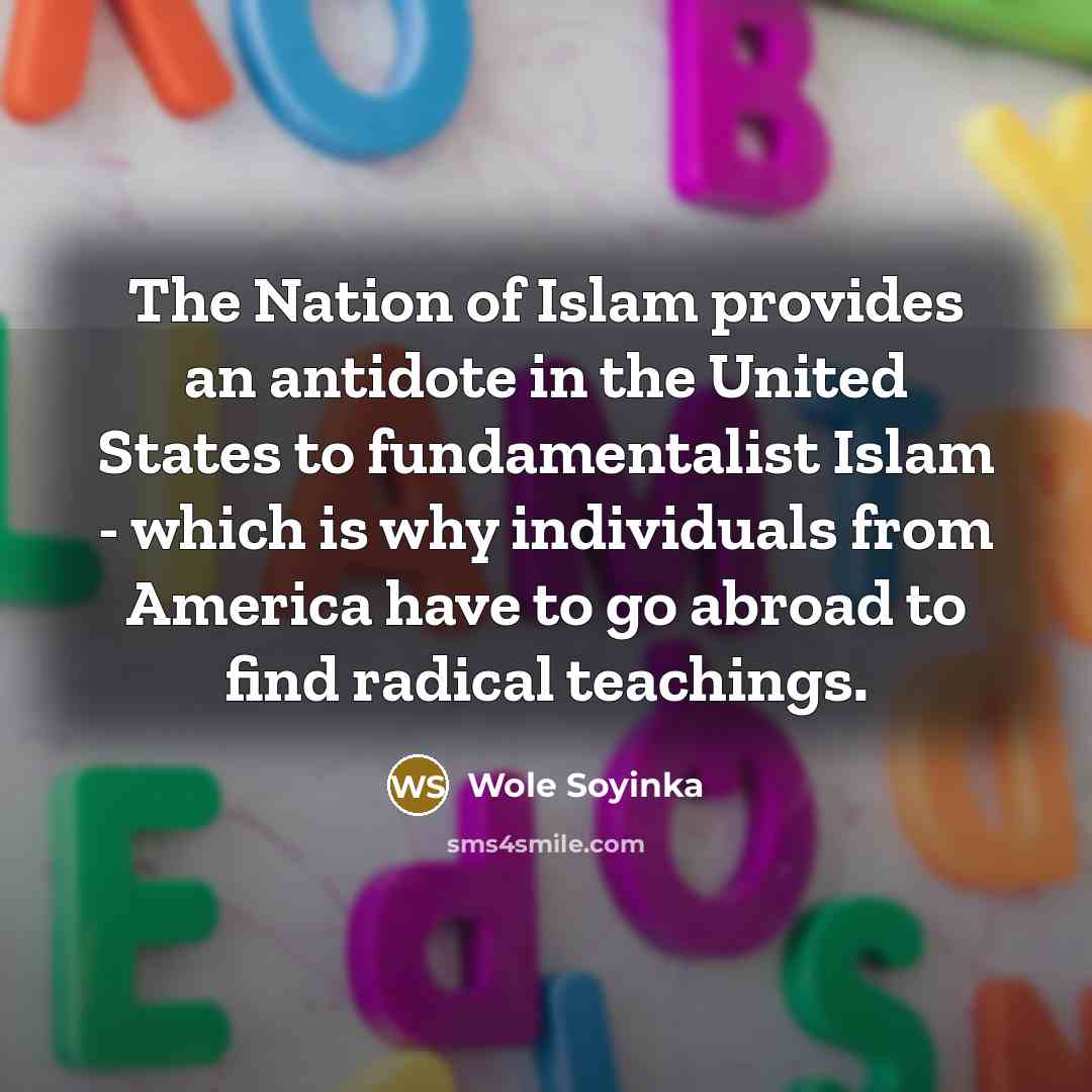 “The Nation of Islam provides an antidote in the United…” quote by Wole Soyinka