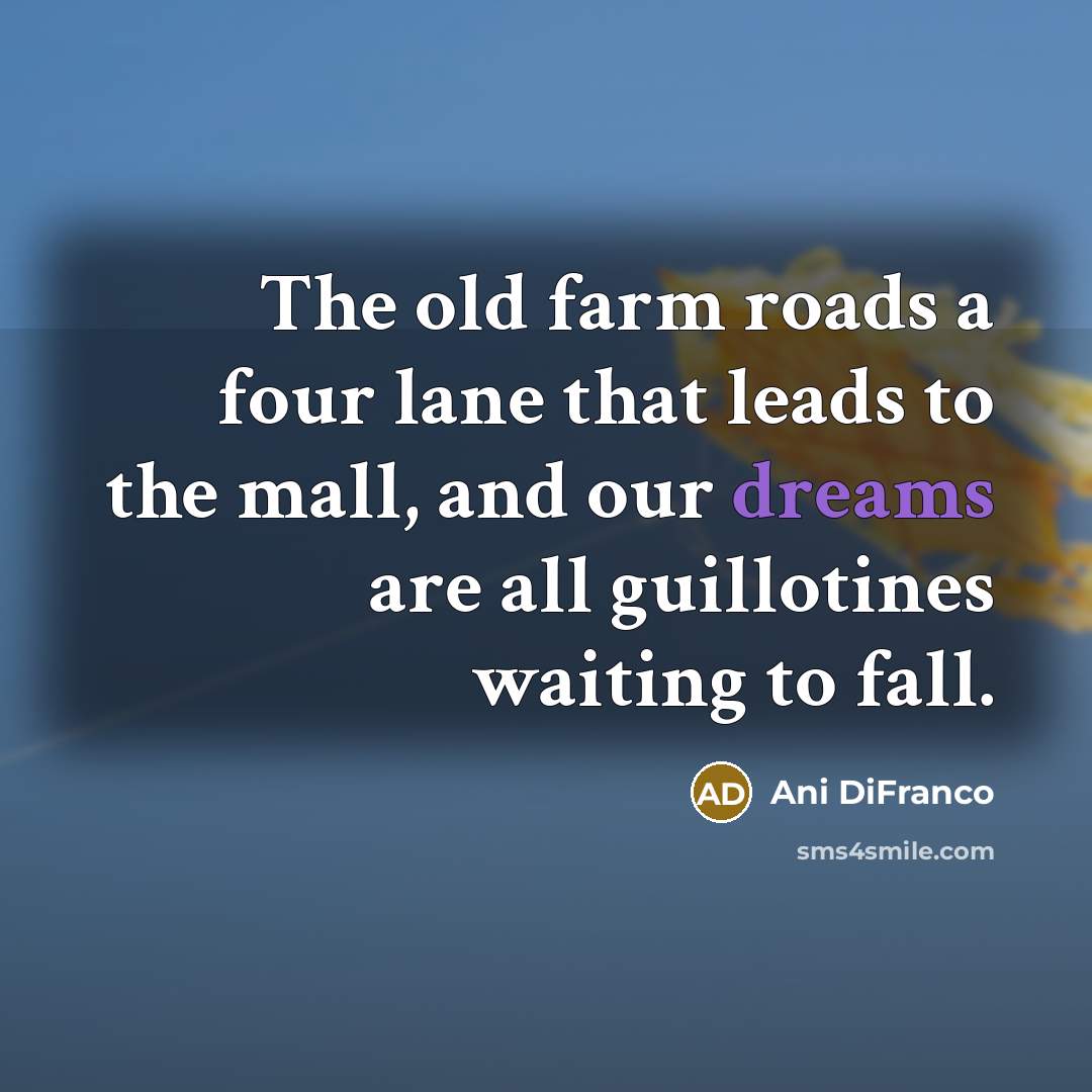 “The old farm roads a four lane that leads to…” quote by Ani DiFranco