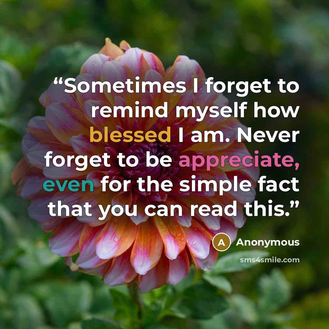 “Sometimes I forget to remind myself how blessed I am. Never forget to be appreciate, even for the simple fact that you can read this.” quote by Anonymous
