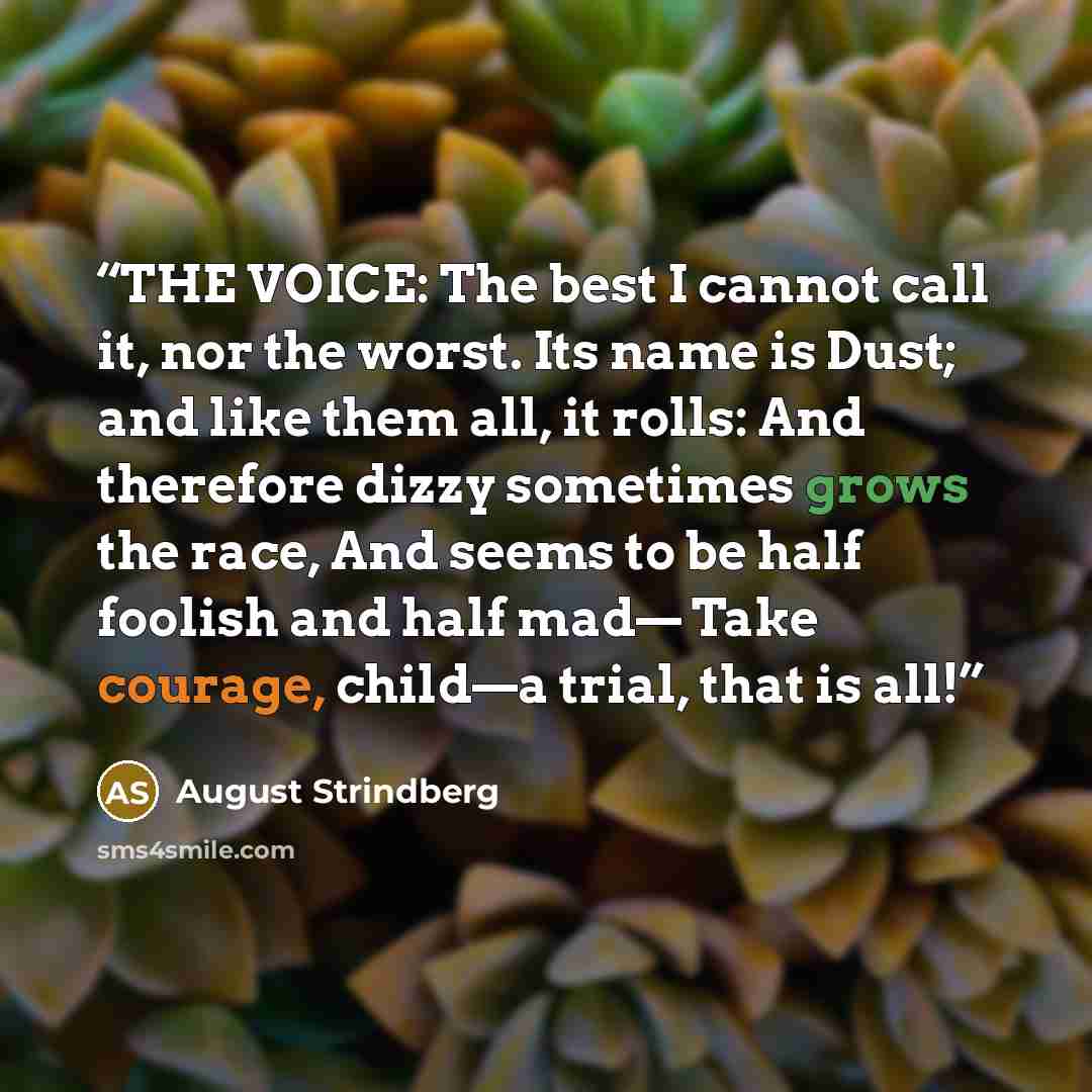 “THE VOICE: The best I cannot call it, nor the worst. Its name is Dust; and like them all, it rolls: And therefore dizzy sometimes grows the race, And seems to be half foolish and half mad— Take courage, child—a trial, that is all!” quote by August Strindberg
