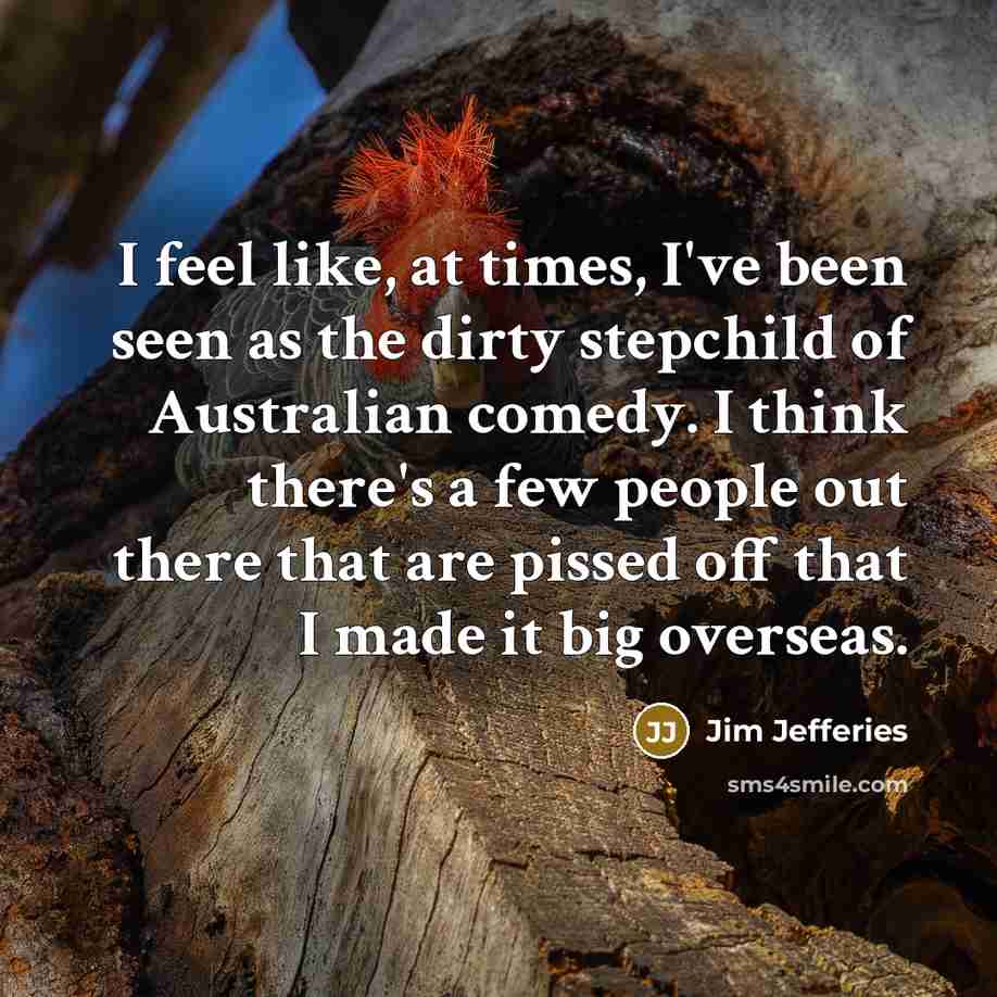 “I feel like, at times, I've been seen as the…” quote by Jim Jefferies