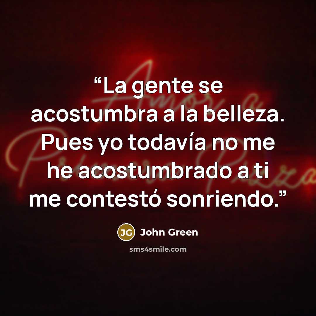 “La gente se acostumbra a la belleza. Pues yo todavía no me he acostumbrado a ti me contestó sonriendo.” quote by John Green