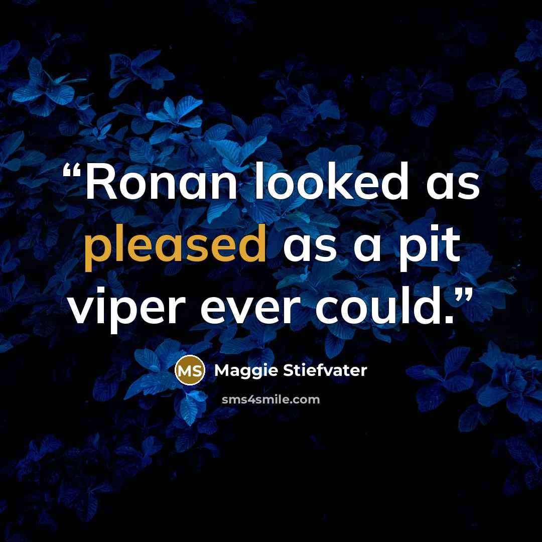 “Ronan looked as pleased as a pit viper ever could.” quote by Maggie Stiefvater