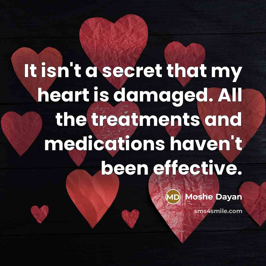 “It isn't a secret that my heart is damaged. All…” quote by Moshe Dayan