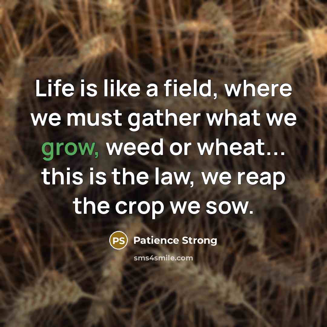 “Life is like a field, where we must gather what…” quote by Patience Strong