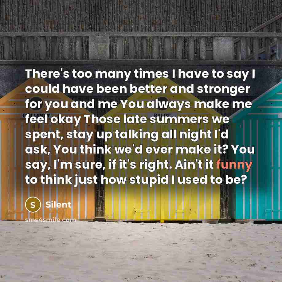 “There's too many times I have to say I could have been better and stronger for you and me You always make me feel okay Those late summers we spent, stay up talking all night I'd ask, You think we'd ever make it? You say, I'm sure, if it's right. Ain't it funny to think just how stupid I used to be?” quote by Silent