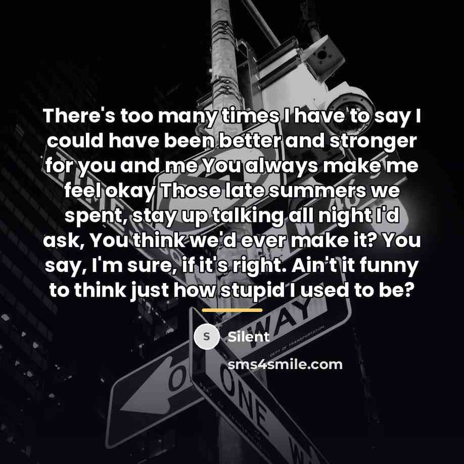 “There's too many times I have to say I could…” quote by Silent