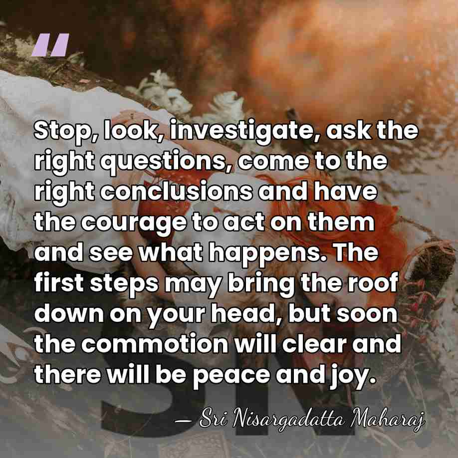Stop, look, investigate, ask the right questions, come to the right conclusions&hellip; - Sri Nisargadatta Maharaj