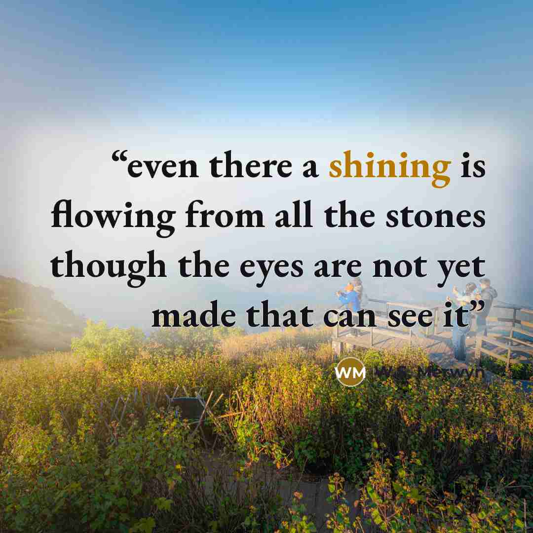 “even there a shining is flowing from all the stones though the eyes are not yet made that can see it” quote by W.S. Merwyn