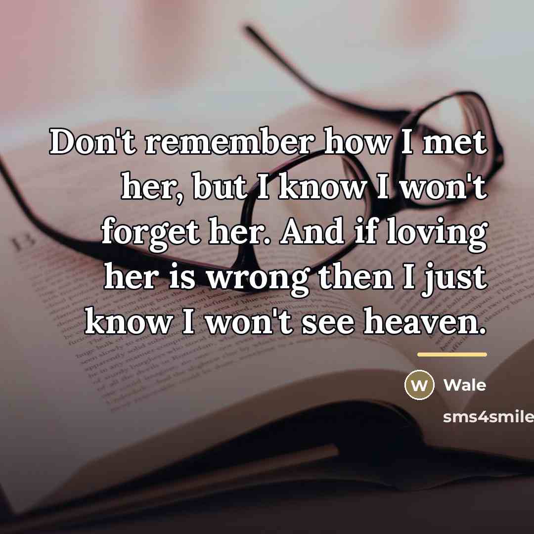 “Don't remember how I met her, but I know I…” quote by Wale