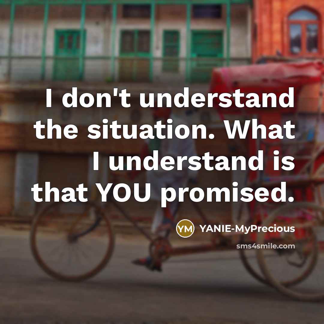 “I don't understand the situation. What I understand is that…” quote by YANIE-MyPrecious