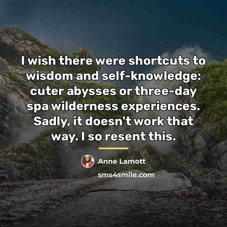 “I wish there were shortcuts to wisdom and self-knowledge: cuter…” quote by Anne Lamott