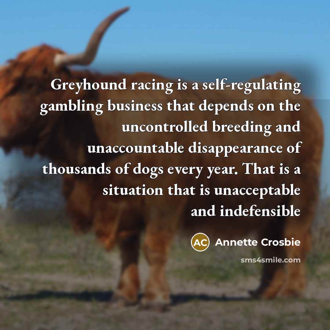 “Greyhound racing is a self-regulating gambling business that depends on the uncontrolled breeding and unaccountable disappearance of thousands of dogs every year. That is a situation that is unacceptable and indefensible” quote by Annette Crosbie
