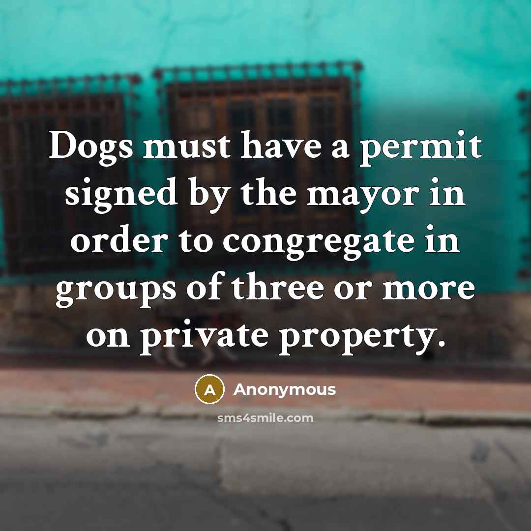 “Dogs must have a permit signed by the mayor in…” quote by Anonymous