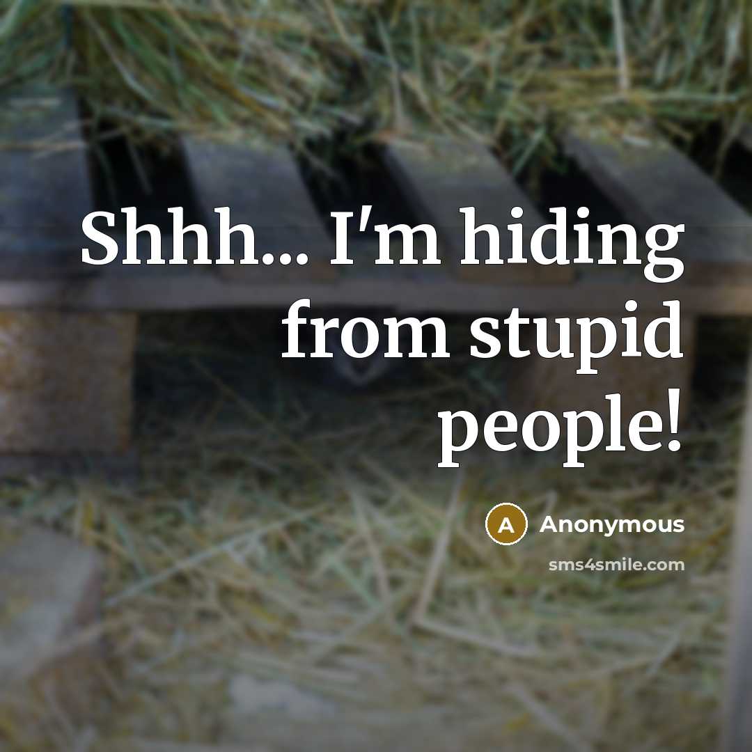 “Shhh... I'm hiding from stupid people!…” quote by Anonymous
