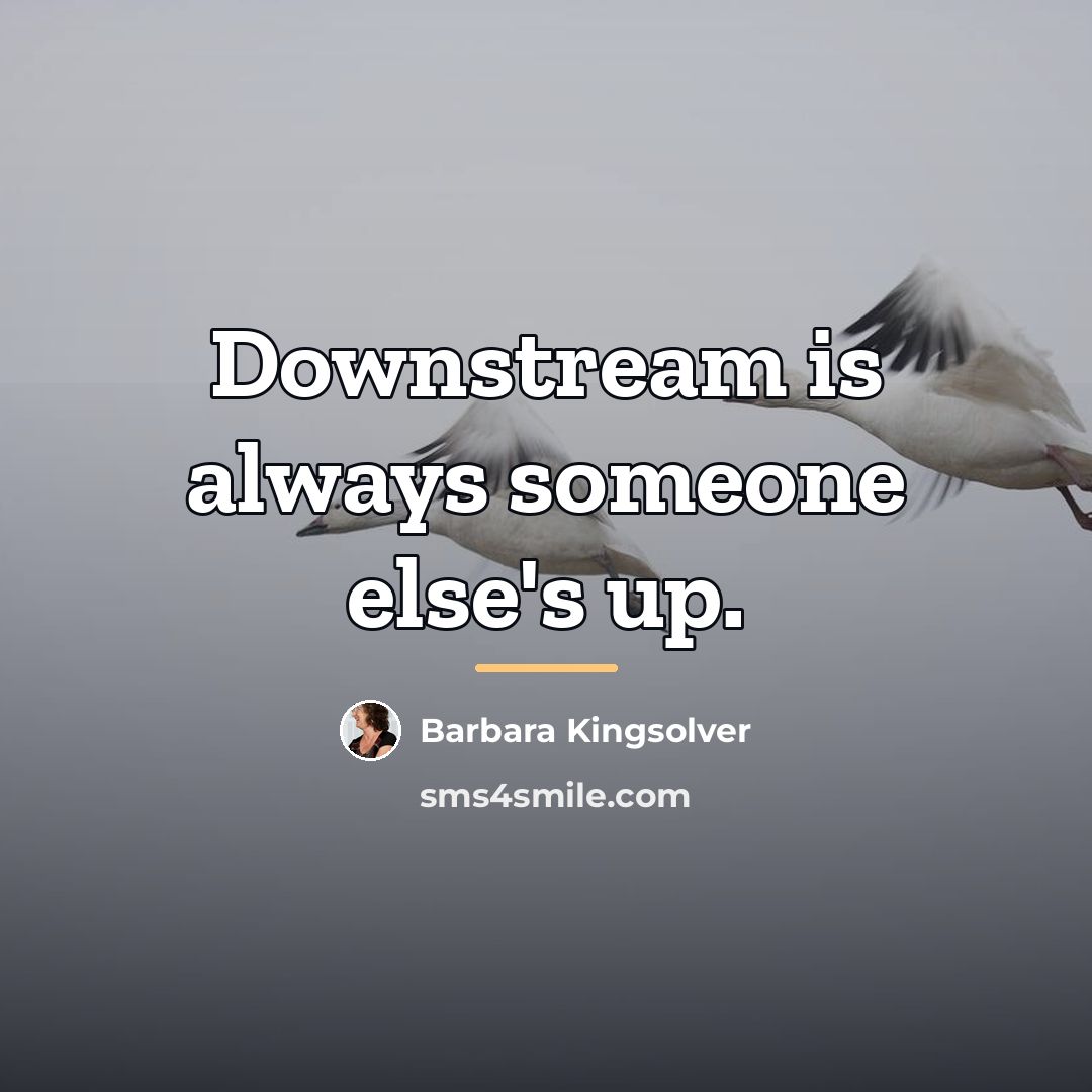 “Downstream is always someone else's up.…” quote by Barbara Kingsolver