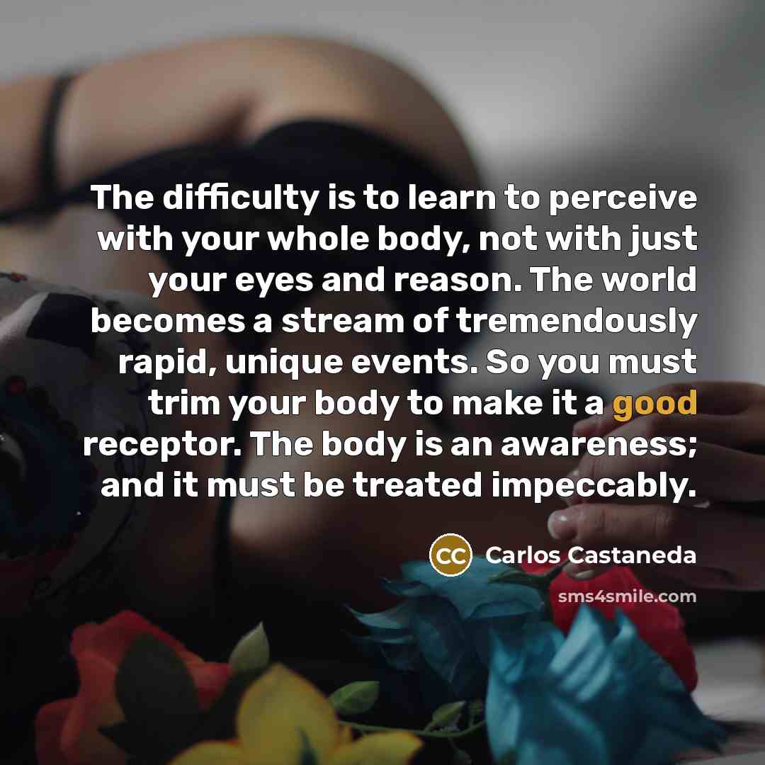 “The difficulty is to learn to perceive with your whole…” quote by Carlos Castaneda