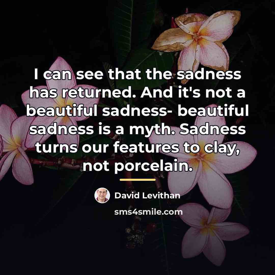 “I can see that the sadness has returned. And it's…” quote by David Levithan
