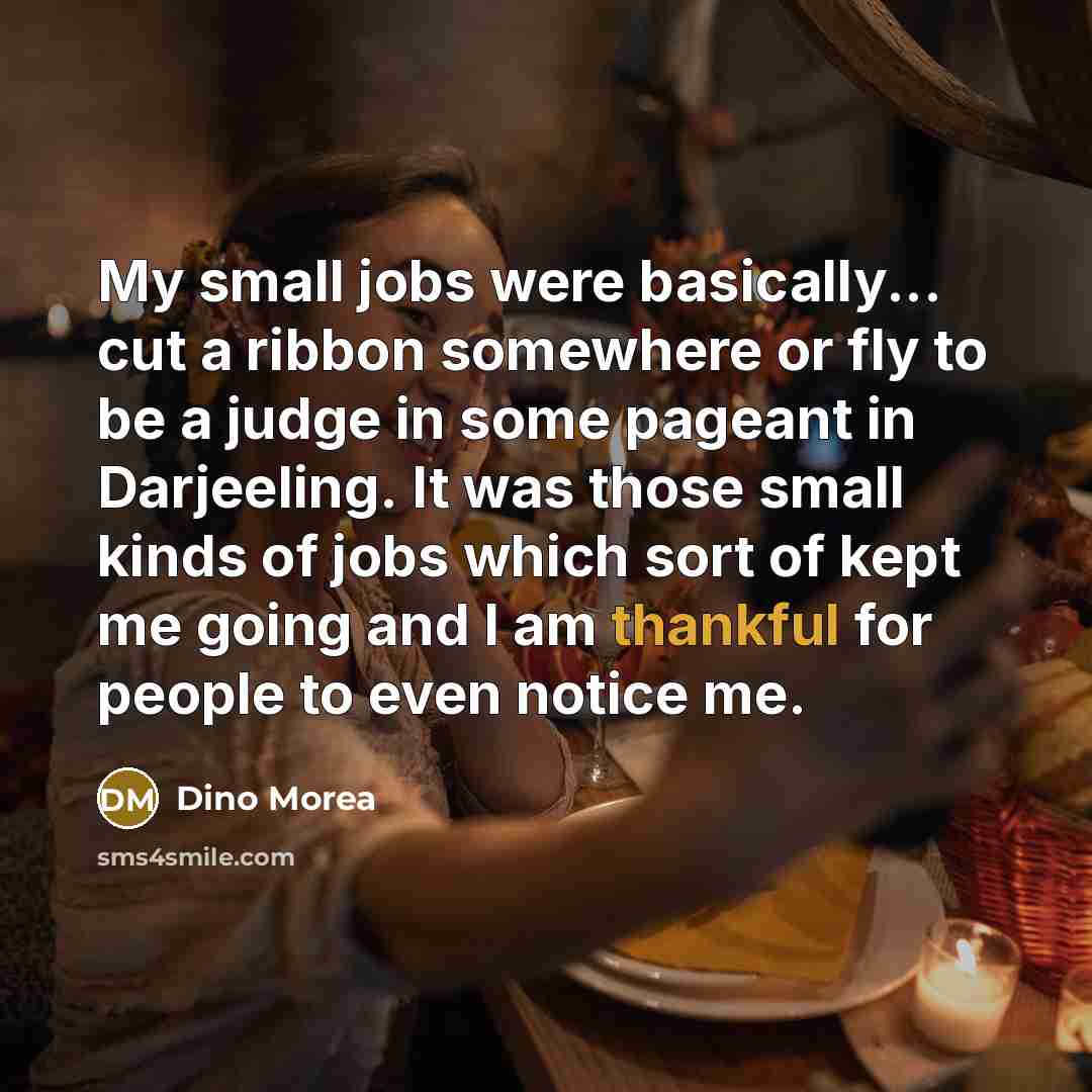 “My small jobs were basically... cut a ribbon somewhere or…” quote by Dino Morea