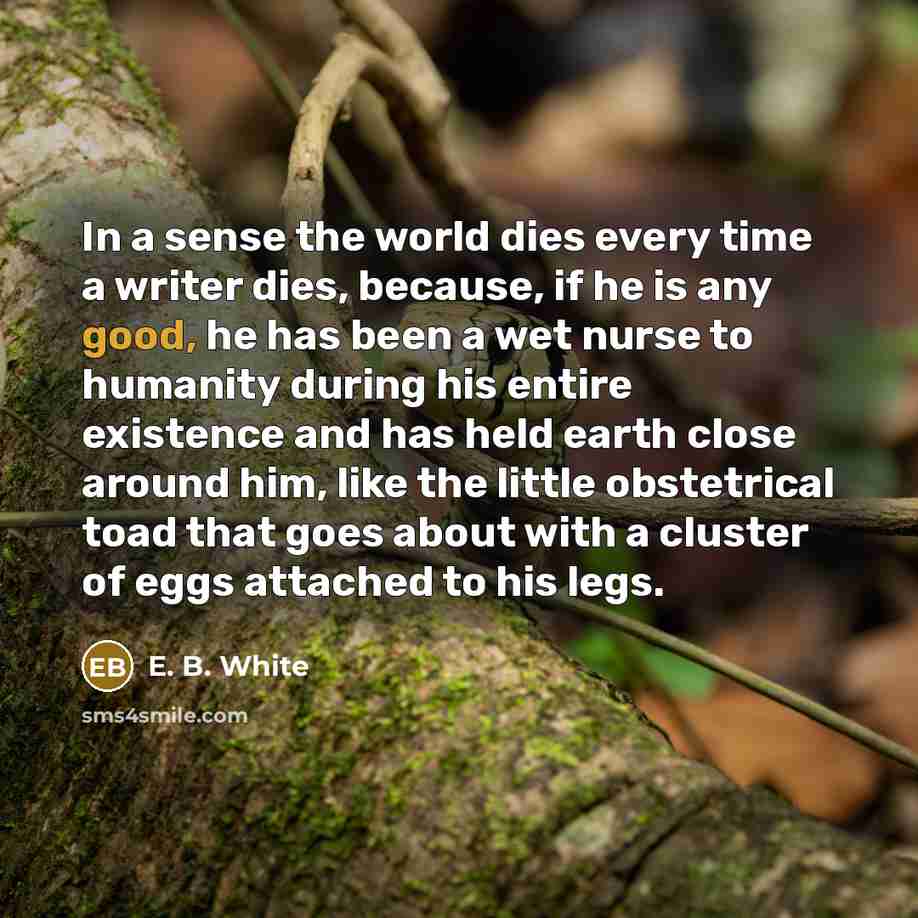 “In a sense the world dies every time a writer…” quote by E. B. White