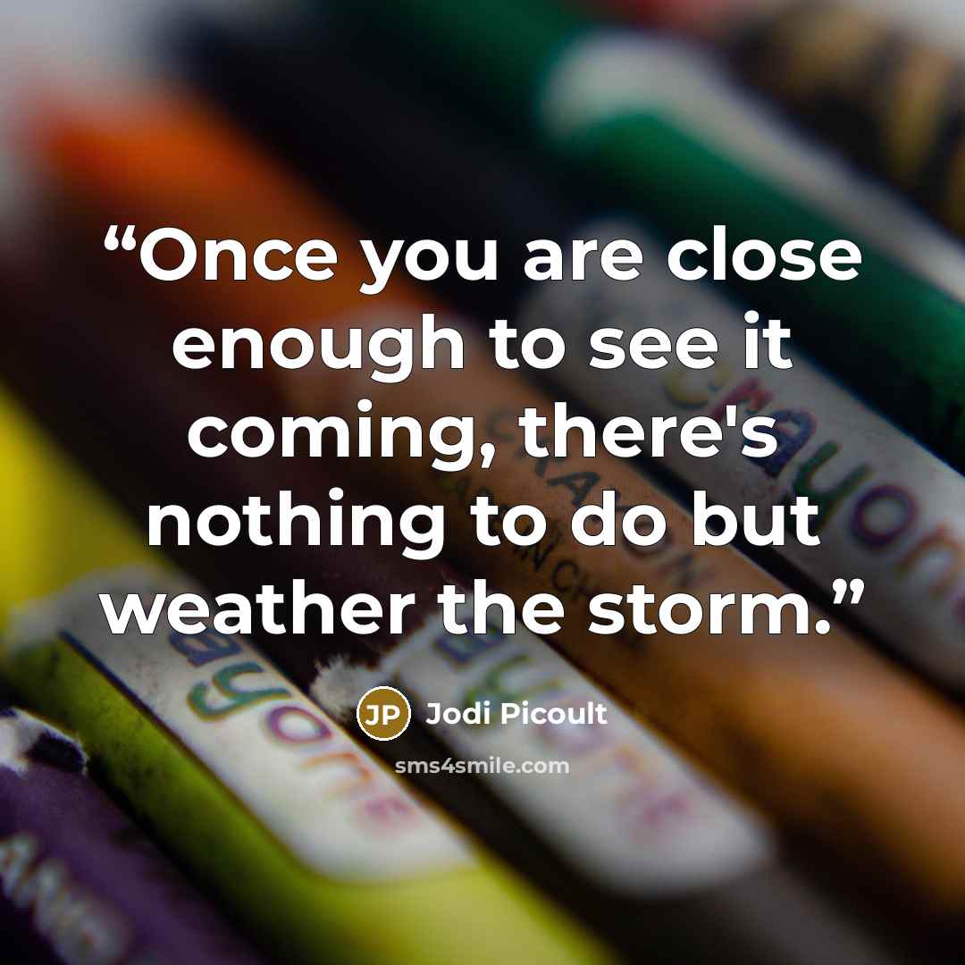 “Once you are close enough to see it coming, there's nothing to do but weather the storm.” quote by Jodi Picoult