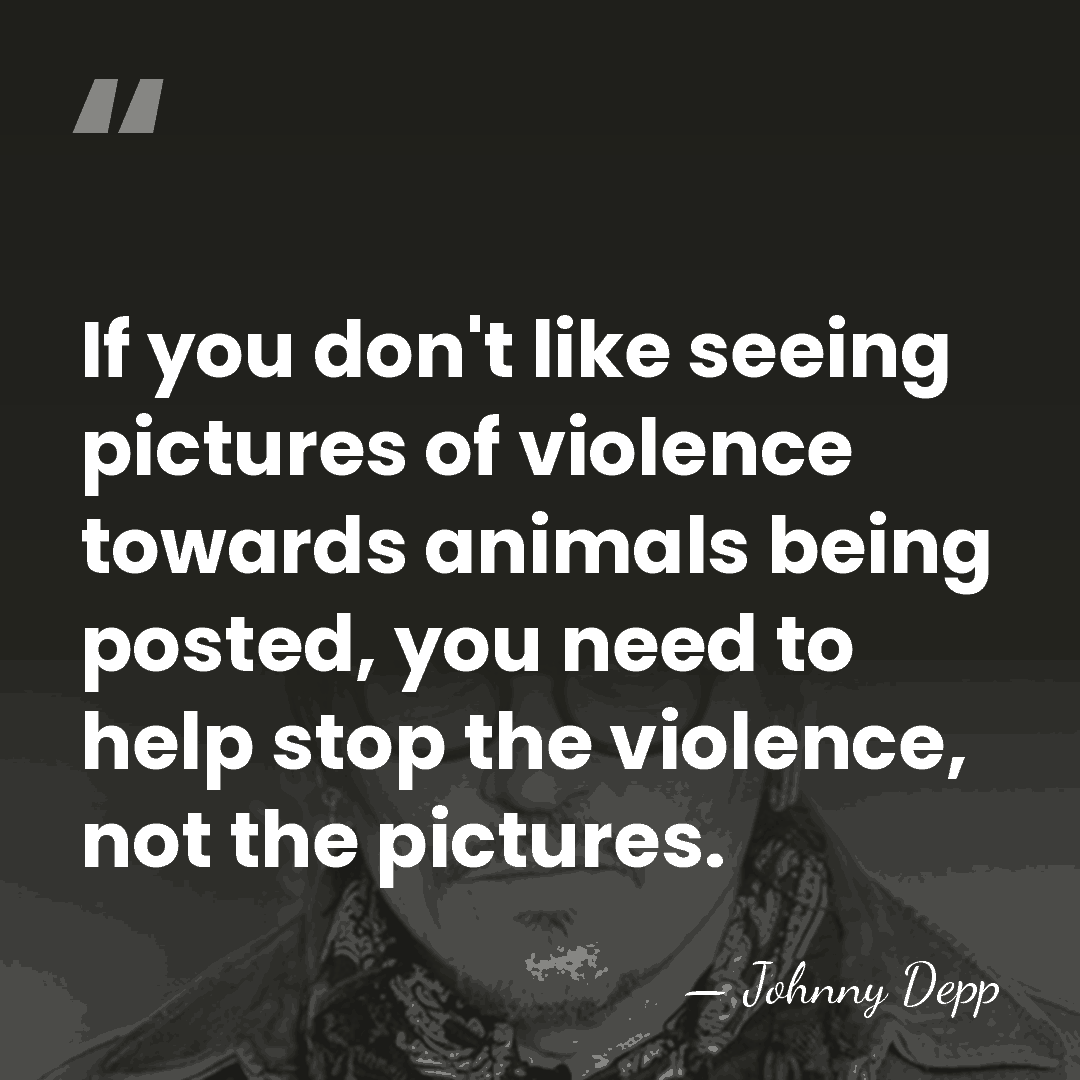 If you don't like seeing pictures of violence towards animals being posted,&hellip; - Johnny Depp