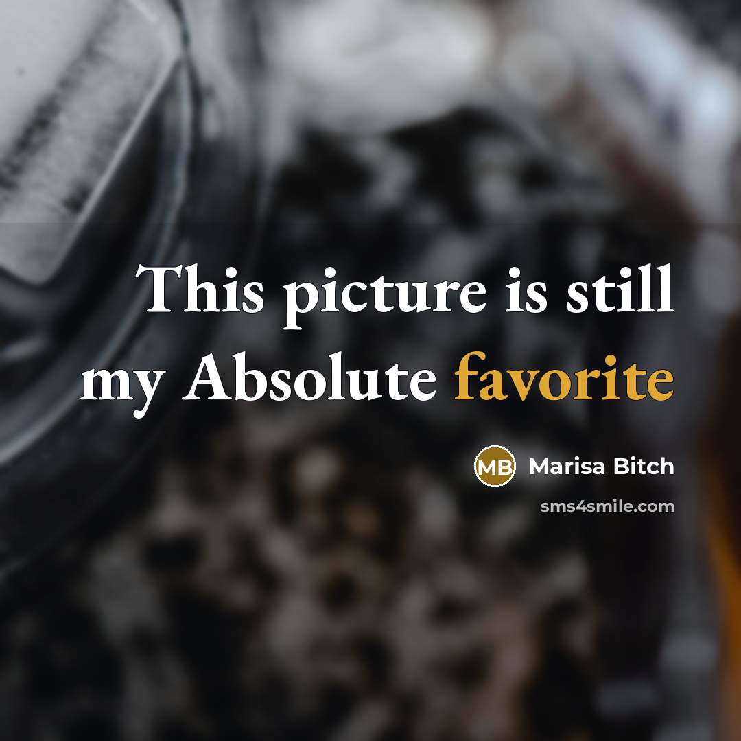 “This picture is still my Absolute favorite” quote by Marisa Bitch