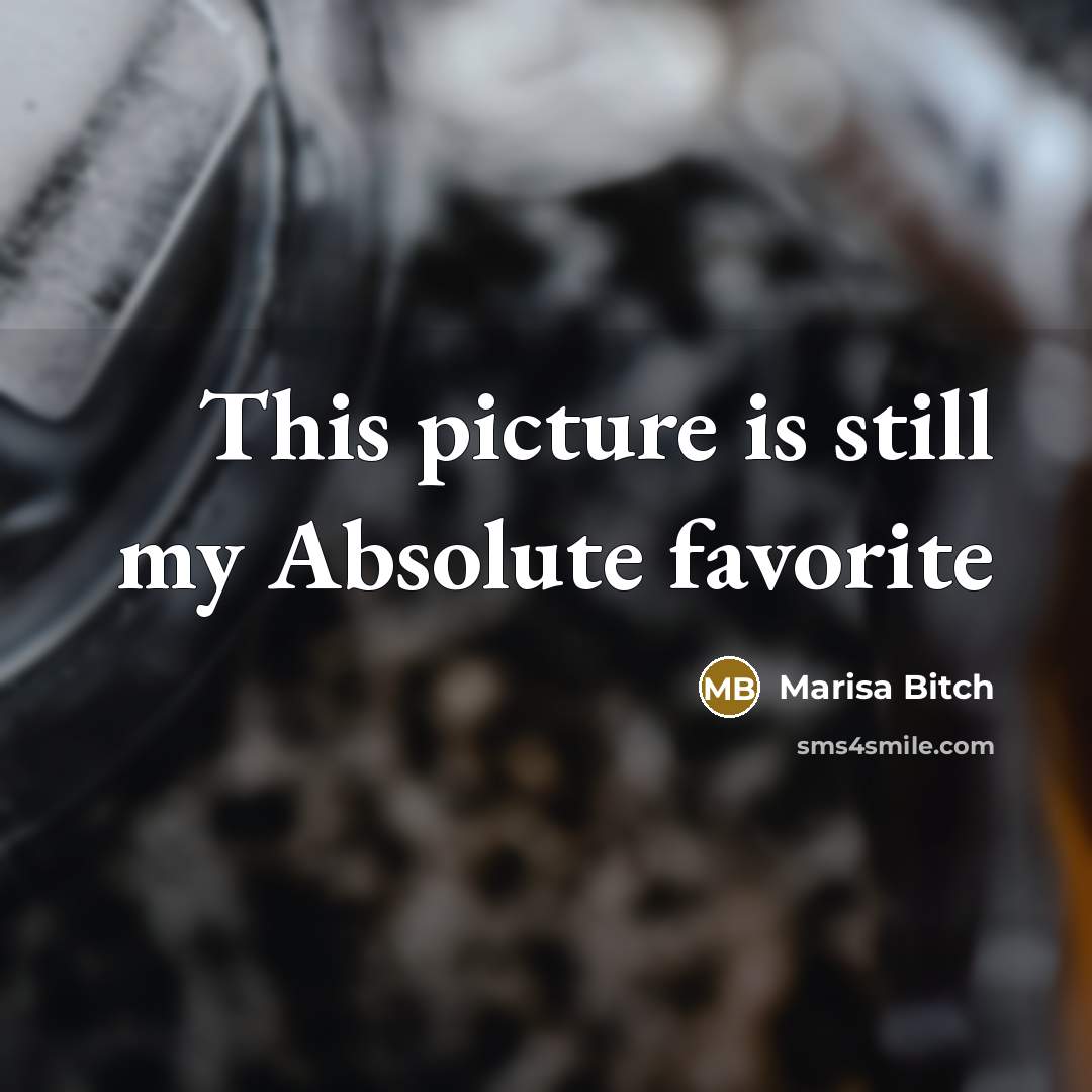 “This picture is still my Absolute favorite…” quote by Marisa Bitch