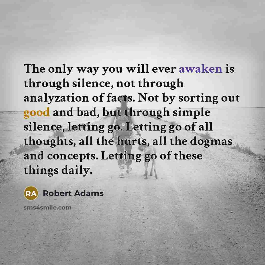 “The only way you will ever awaken is through silence,…” quote by Robert Adams