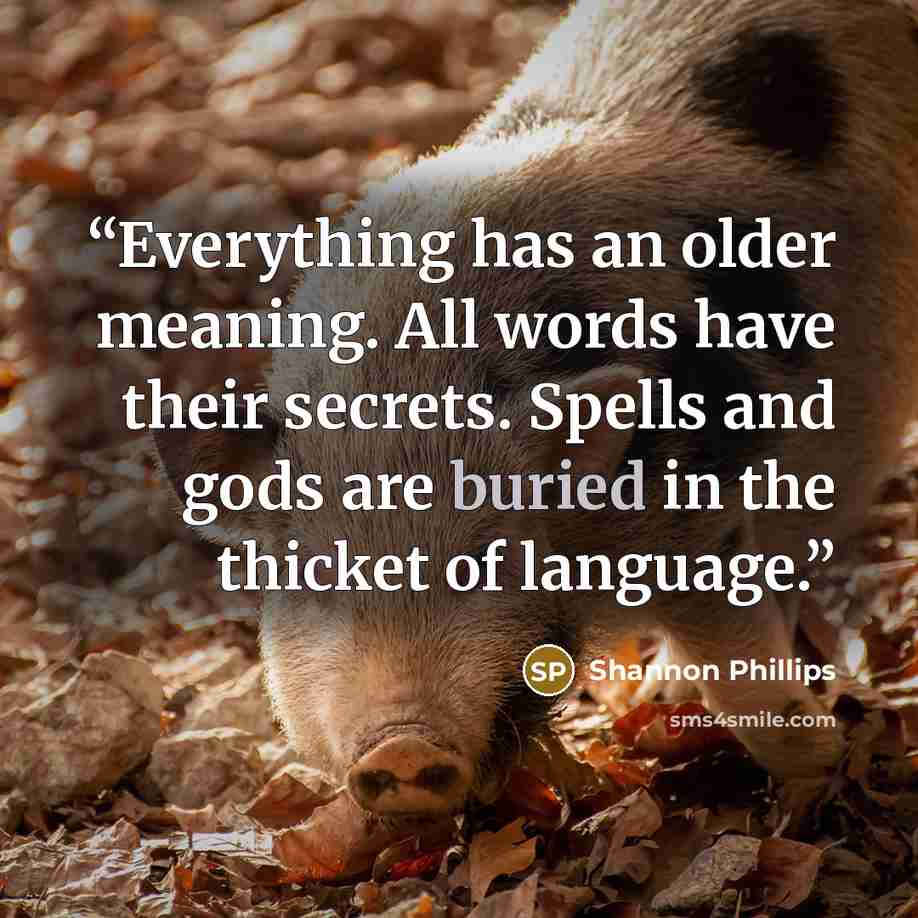 “Everything has an older meaning. All words have their secrets. Spells and gods are buried in the thicket of language.” quote by Shannon Phillips