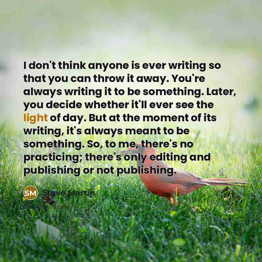 “I don't think anyone is ever writing so that you…” quote by Steve Martin