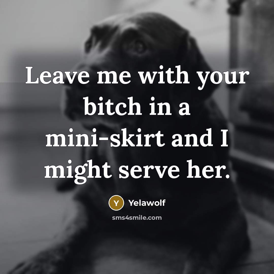 “Leave me with your bitch in a mini-skirt and I…” quote by Yelawolf