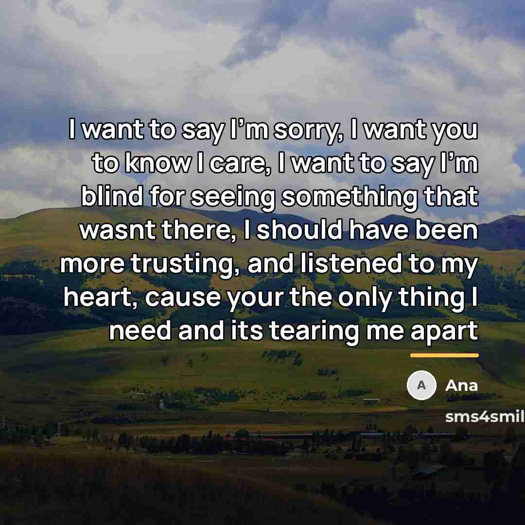 “I want to say I'm sorry, I want you to…” quote by Ana