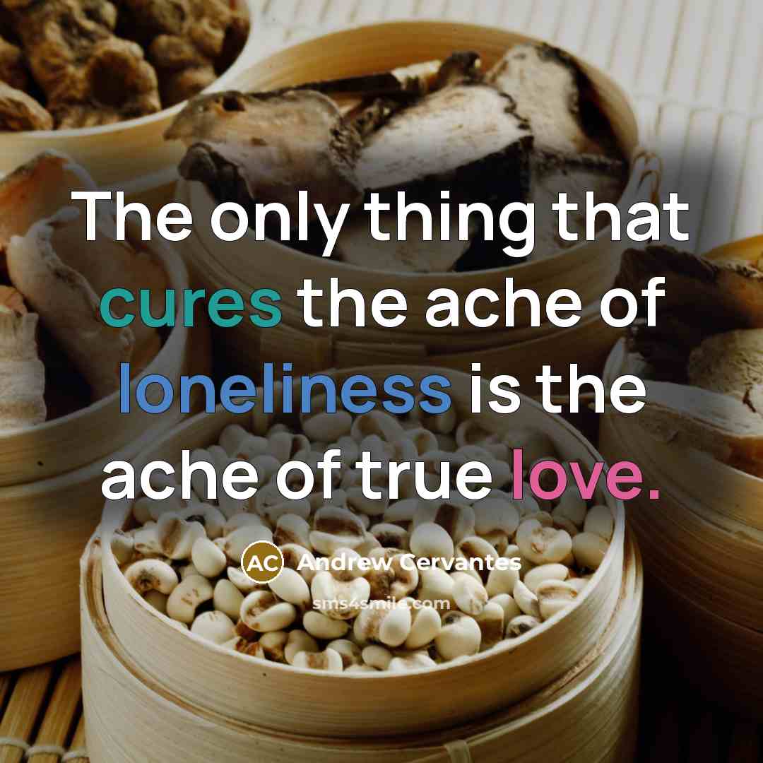 “The only thing that cures the ache of loneliness is…” quote by Andrew Cervantes