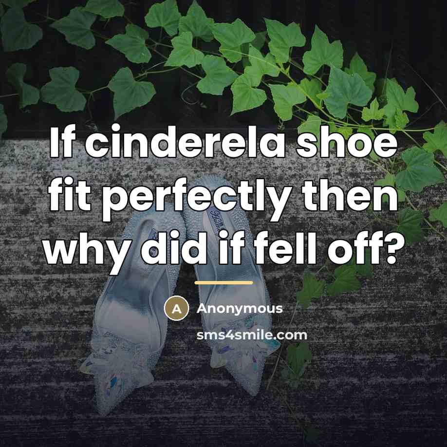 “If cinderela shoe fit perfectly then why did if fell…” quote by Anonymous