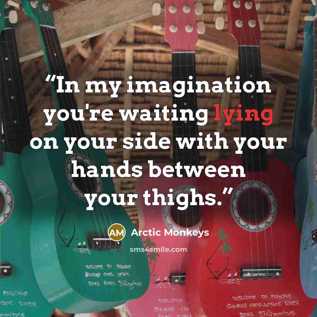 “In my imagination you're waiting lying on your side with your hands between your thighs.” quote by Arctic Monkeys