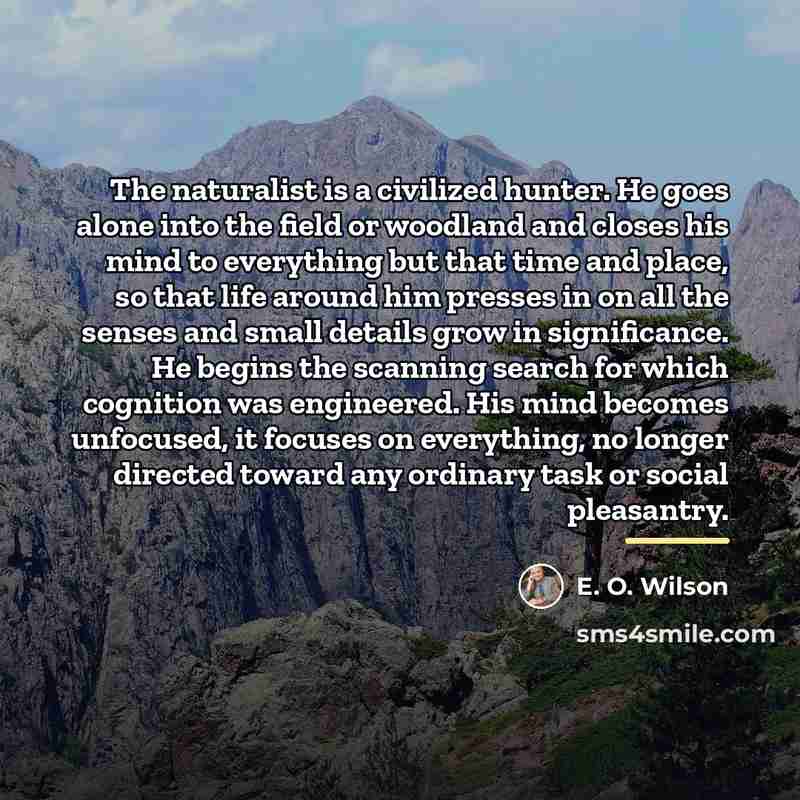 “The naturalist is a civilized hunter. He goes alone into…” quote by E. O. Wilson