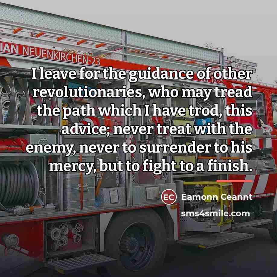 “I leave for the guidance of other revolutionaries, who may…” quote by Eamonn Ceannt