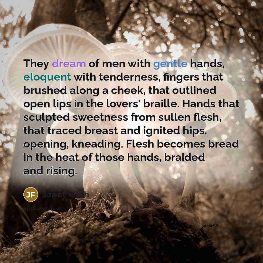 “They dream of men with gentle hands, eloquent with tenderness,…” quote by Janet Fitch