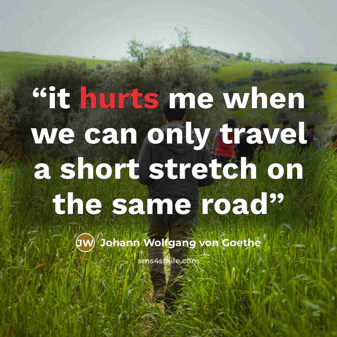 “it hurts me when we can only travel a short stretch on the same road” quote by Johann Wolfgang von Goethe