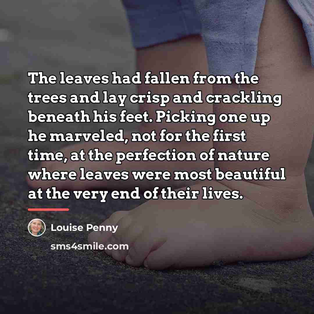 “The leaves had fallen from the trees and lay crisp…” quote by Louise Penny