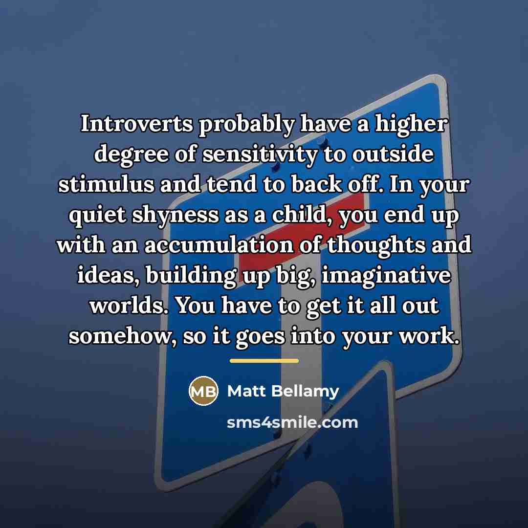 “Introverts probably have a higher degree of sensitivity to outside…” quote by Matt Bellamy