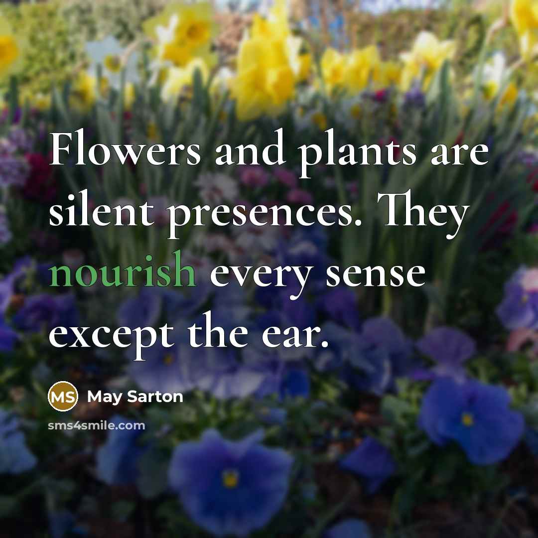 “Flowers and plants are silent presences. They nourish every sense…” quote by May Sarton