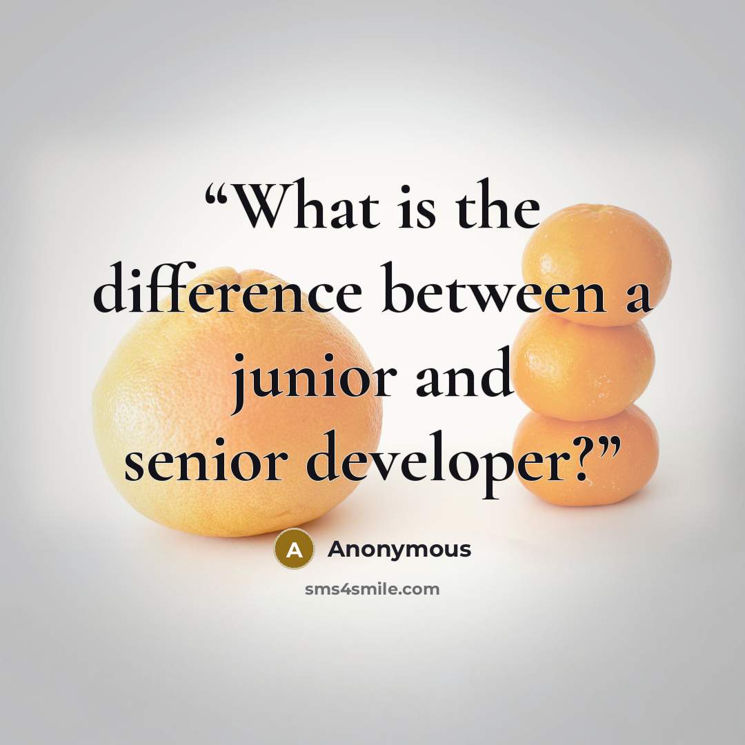 “What is the difference between a junior and senior developer?” quote by Anonymous