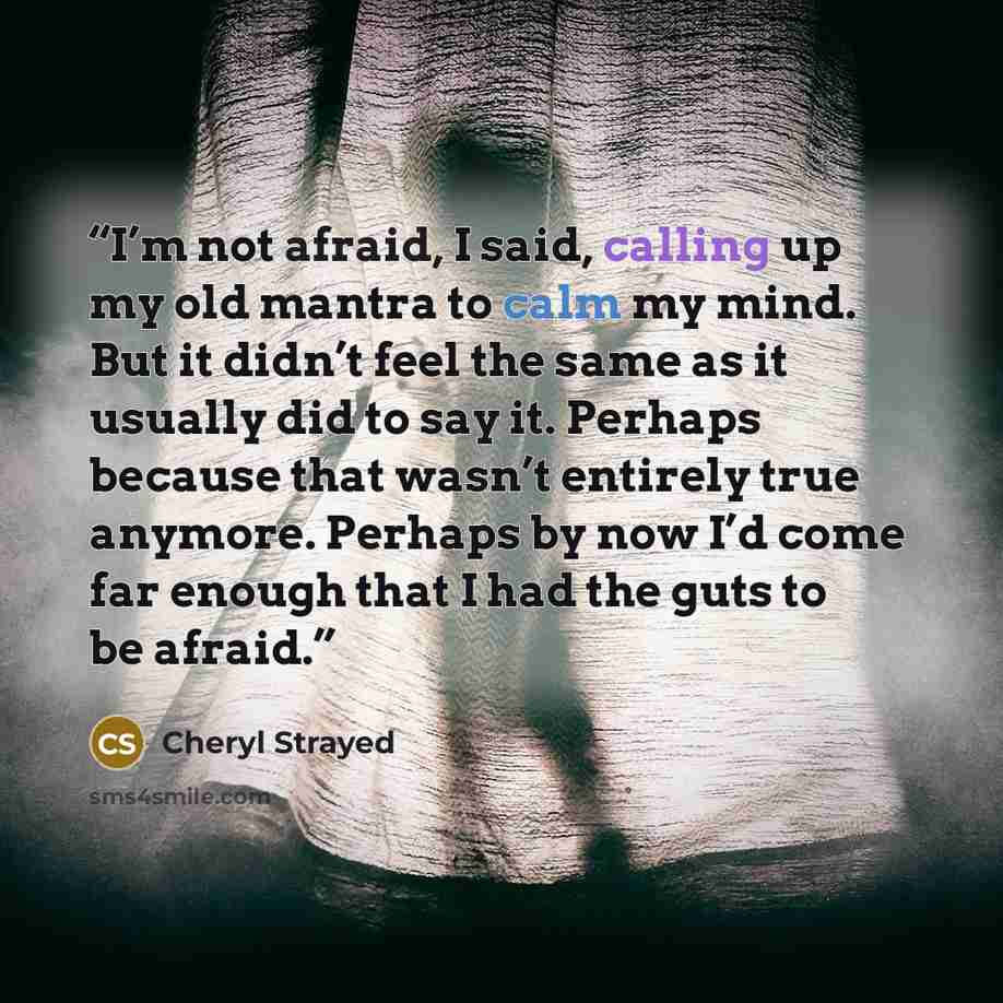 “I’m not afraid, I said, calling up my old mantra to calm my mind. But it didn’t feel the same as it usually did to say it. Perhaps because that wasn’t entirely true anymore. Perhaps by now I’d come far enough that I had the guts to be afraid.” quote by Cheryl Strayed