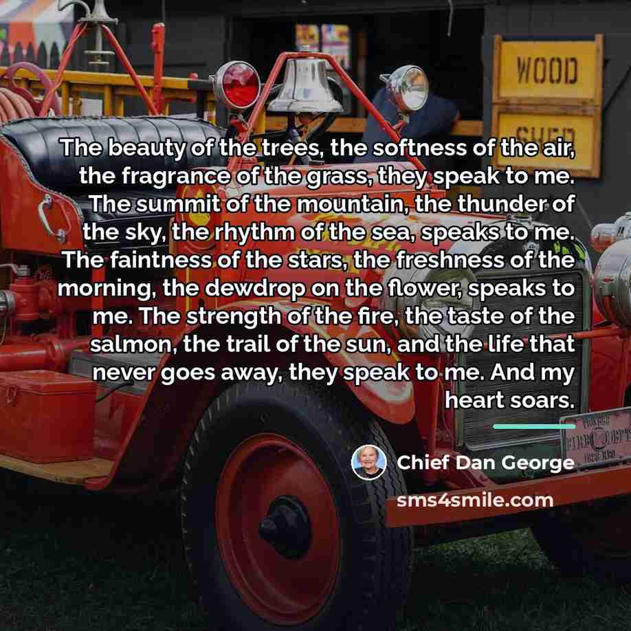“The beauty of the trees, the softness of the air,…” quote by Chief Dan George